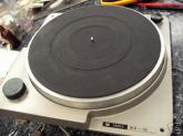 mini_235307platineproShield.jpg