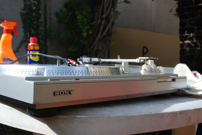 446483DSC9601.jpg