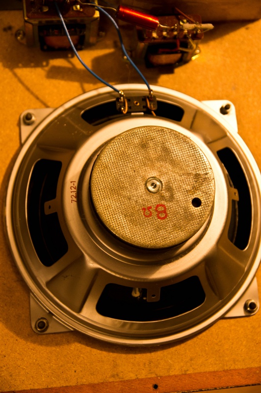 06.jpg