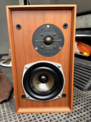 Celestion_Ditton11_1.jpg