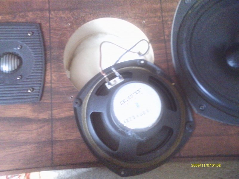 Celestion_Ditton4_10.jpg
