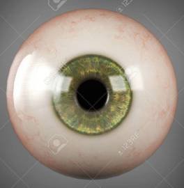 55135979-globe-oculaire-humain-réaliste-iris-vert-élève-isolé.jpg