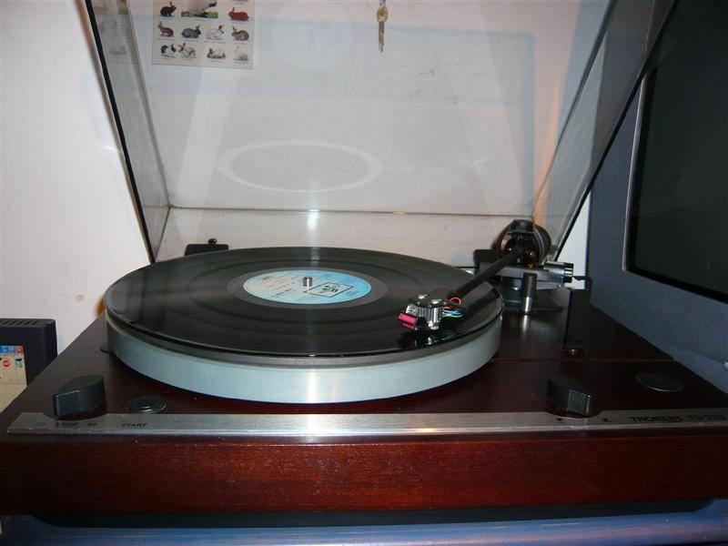 2 (Medium).JPG