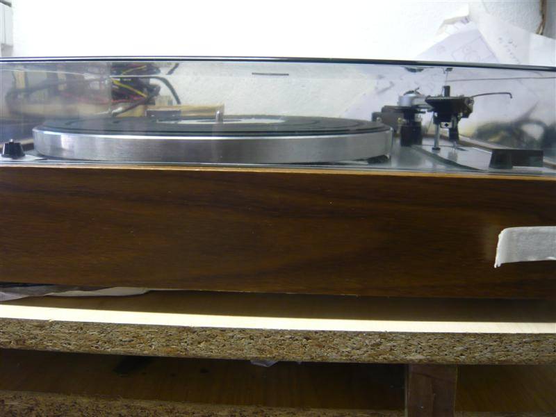 P1070394 (Medium).JPG