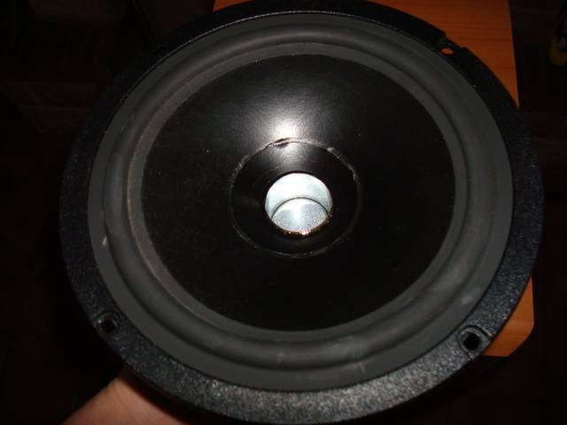 DSC07936.JPG