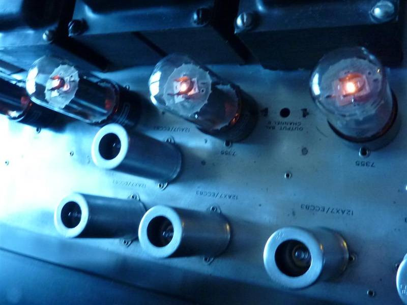 P1050433 (Large).JPG