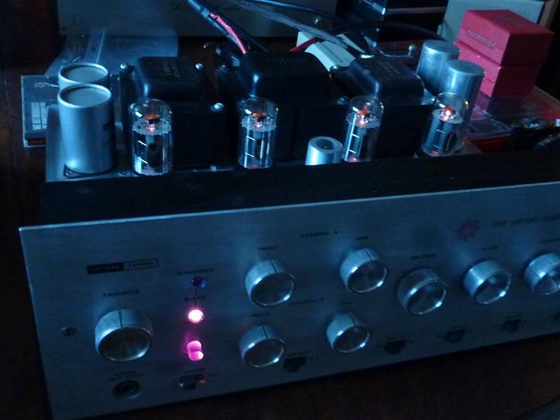 P1050432 (Large).JPG