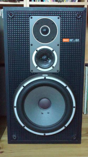 sony ssg1.jpg