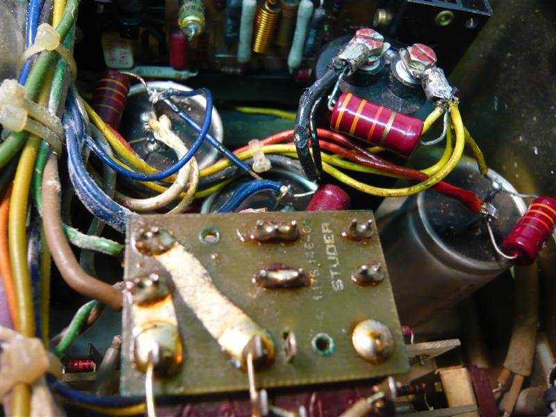 P1070791 (Medium).JPG