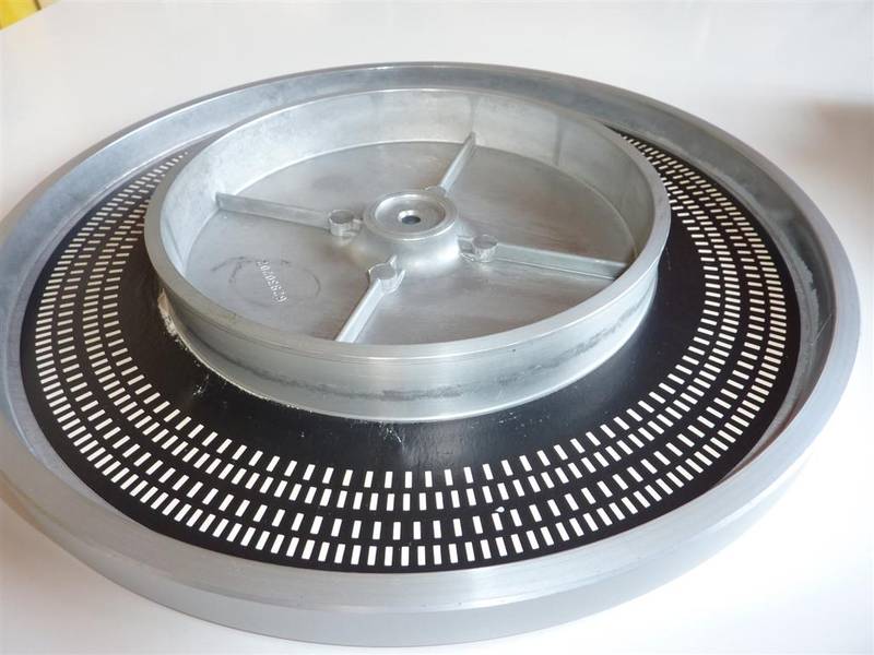 P1000100 (Large).JPG