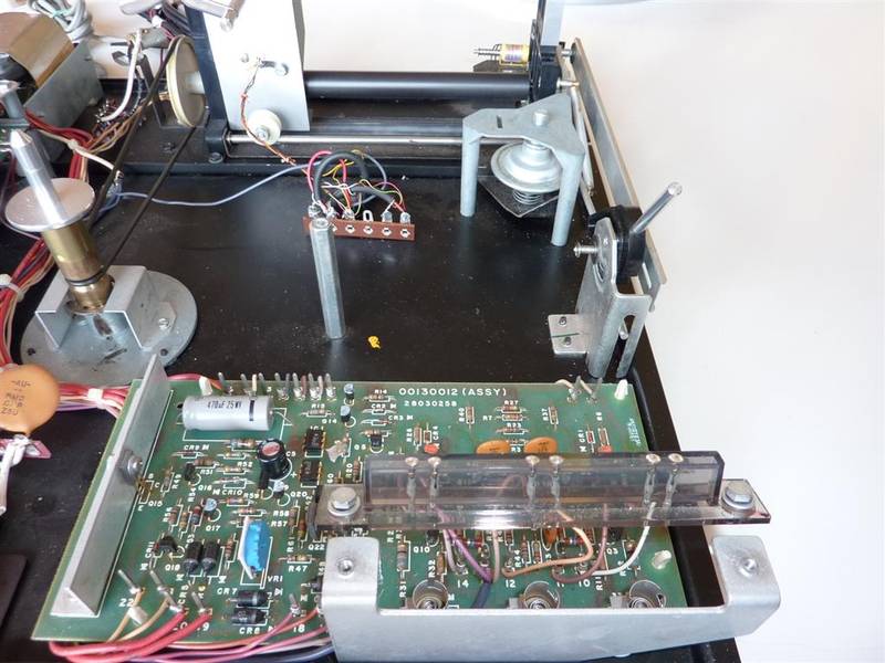 P1000104 (Large).JPG