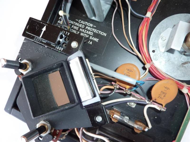 P1000105 (Large).JPG