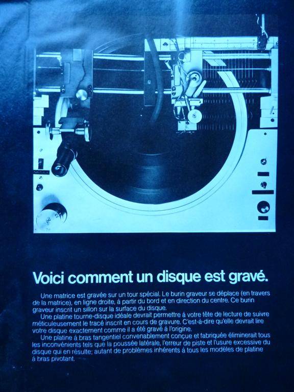 P1000099 (Large).JPG