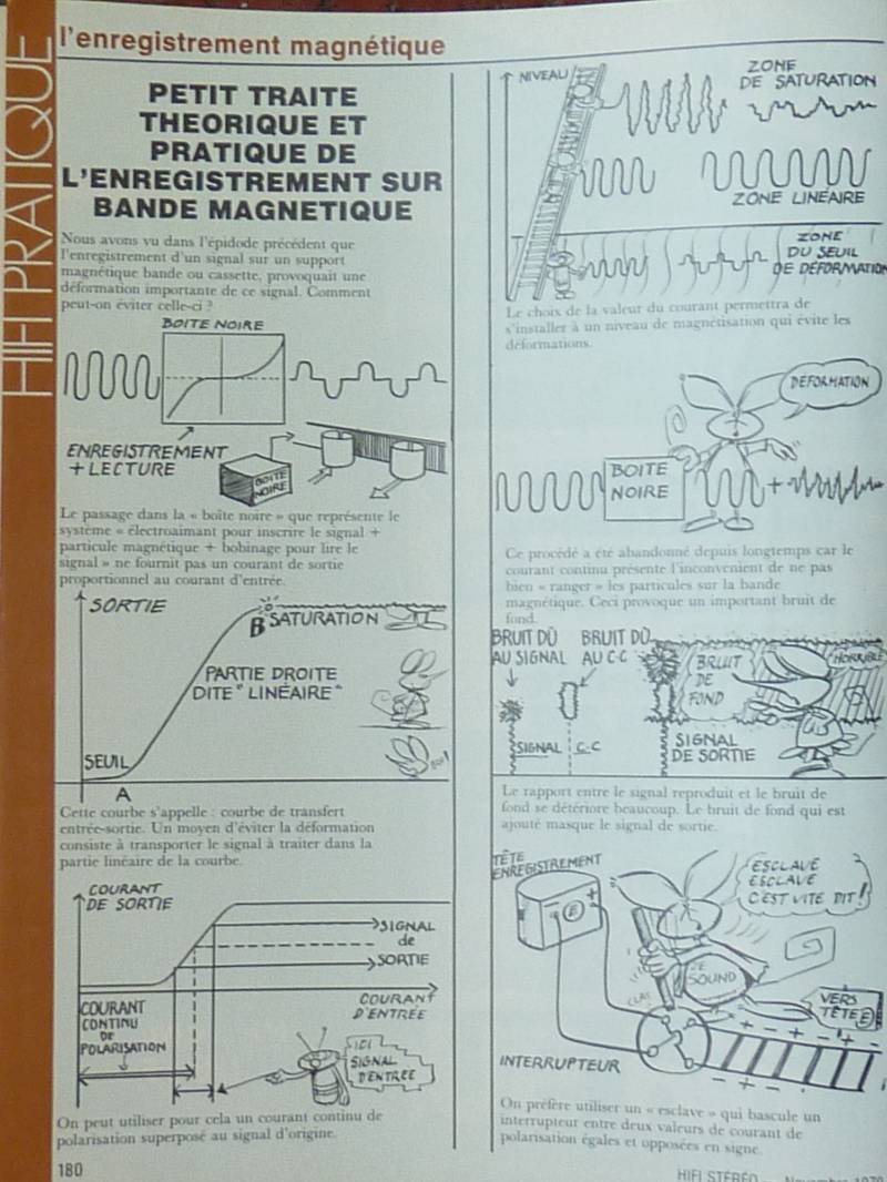 P1060032.JPG