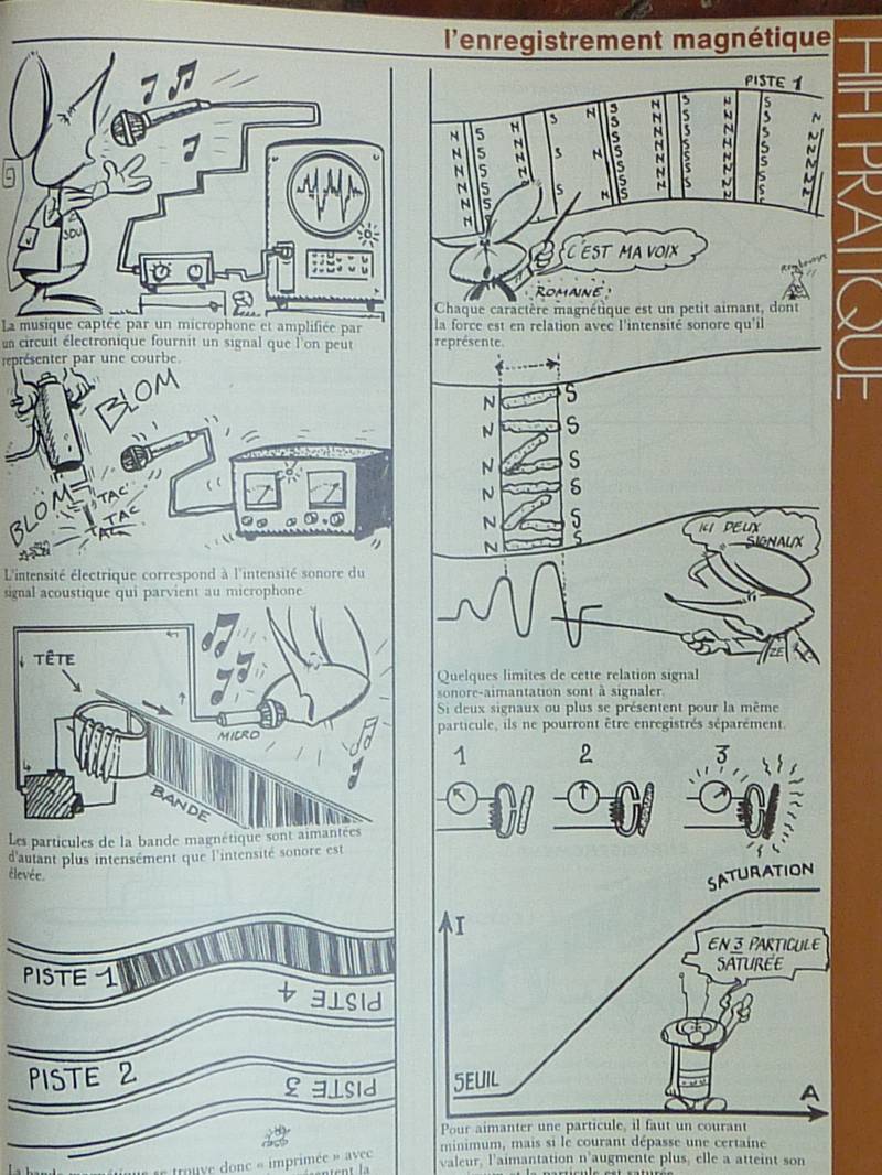 P1060029.JPG