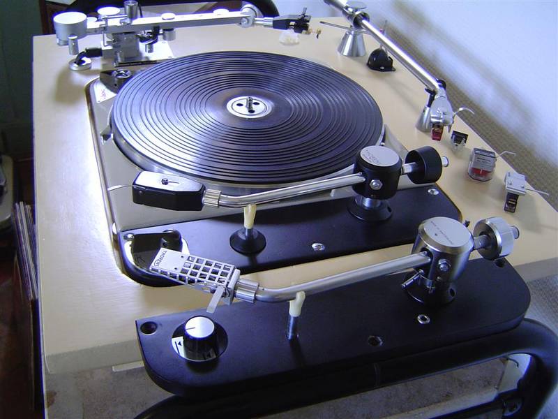 DSC01196 (Large).JPG