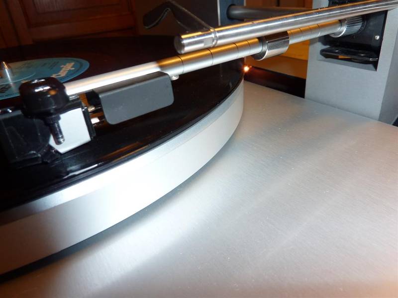 P1000284 (Large).JPG