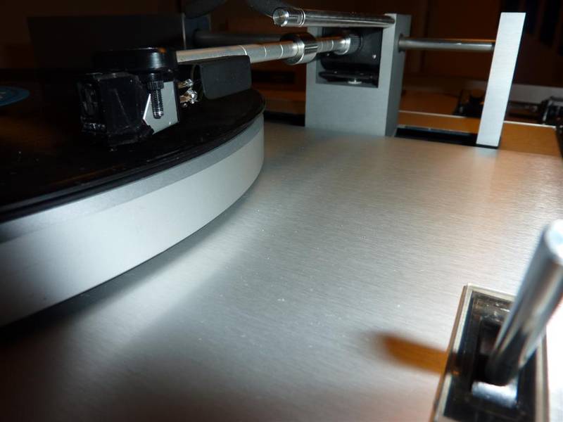 P1000283 (Large).JPG