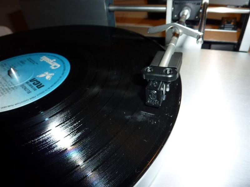 P1000282 (Large).JPG