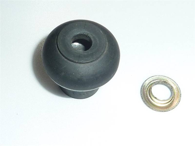 P1060497 (Large).JPG