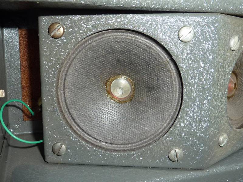 P1060575 (Large).JPG