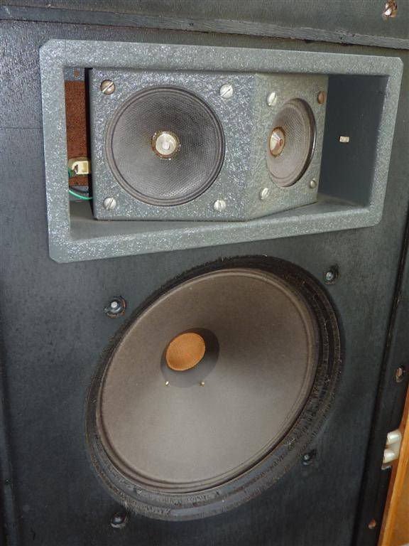 P1060574 (Large).JPG