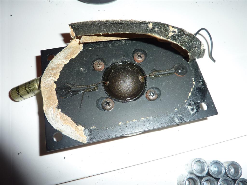 P1070005 (Large).JPG