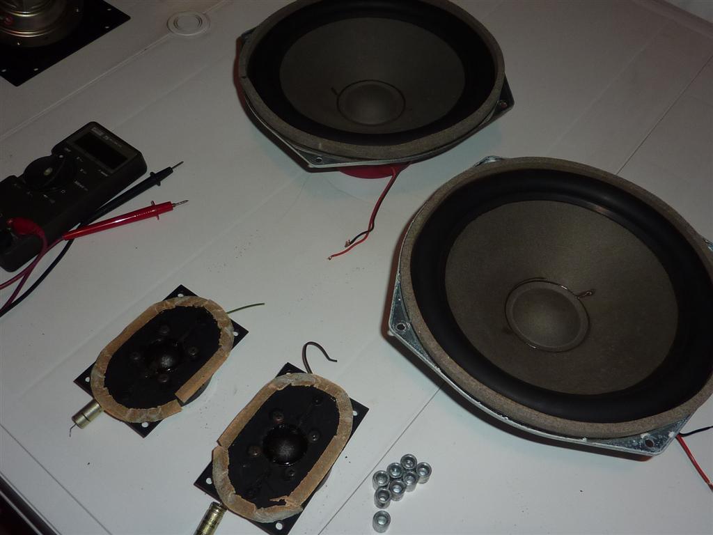 P1070003 (Large).JPG