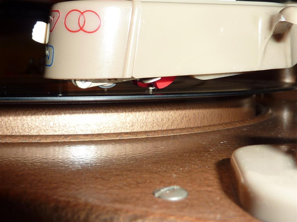 P1070389 (Large).JPG