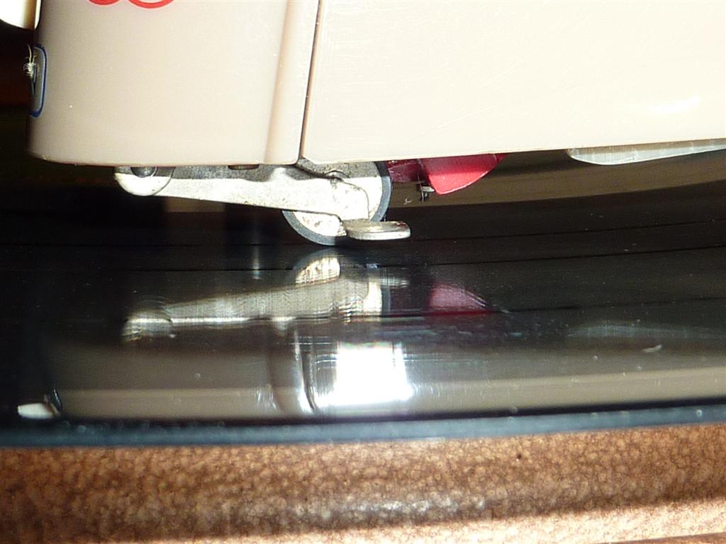 P1070387 (Large).JPG