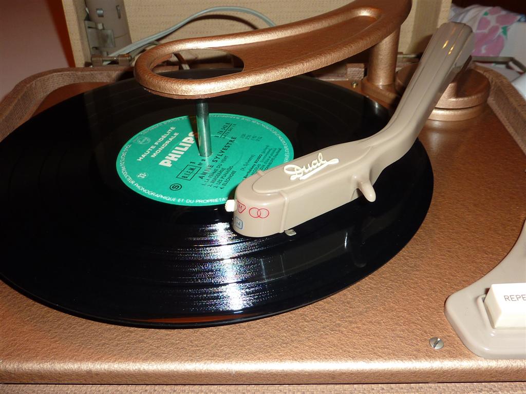 P1070386 (Large).JPG