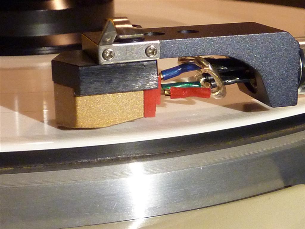 P1070747 (Large).JPG