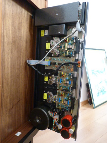 Petrel 9.JPG