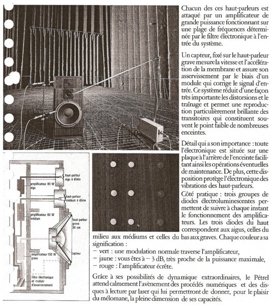Petrel_3.jpg