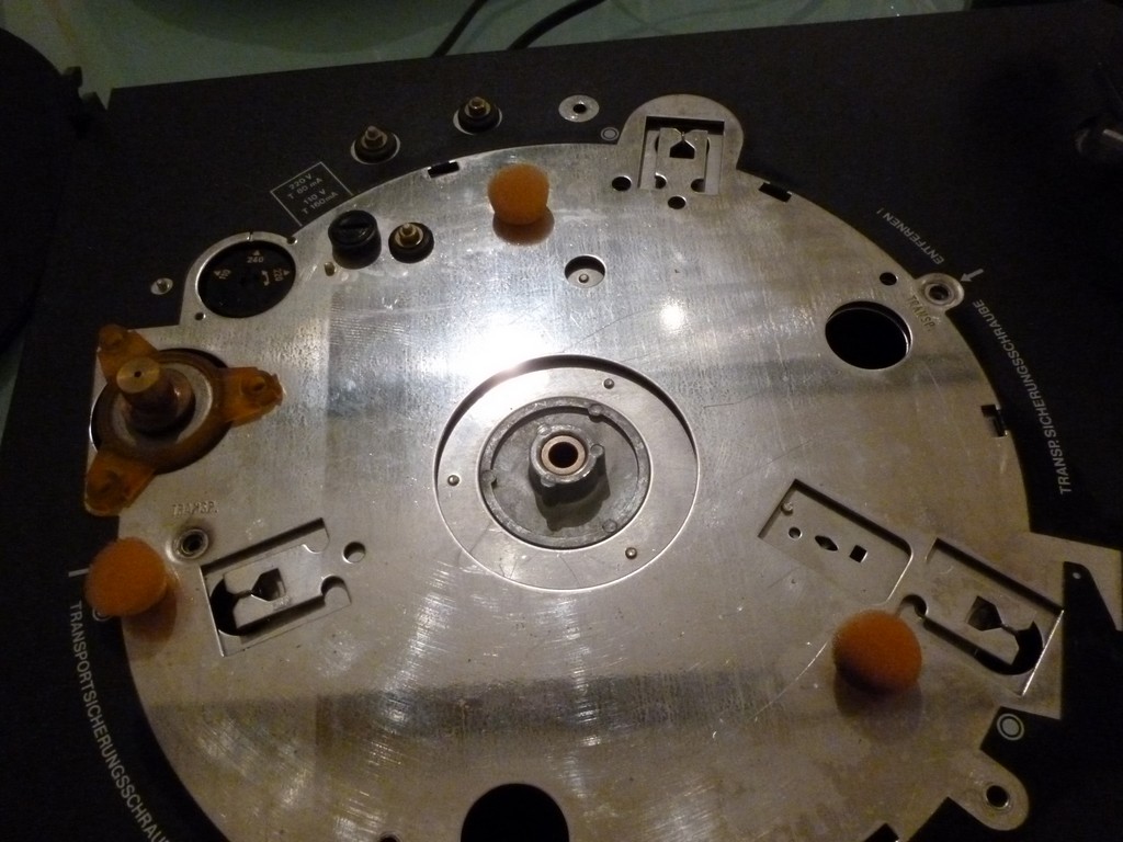 P1000531.jpg