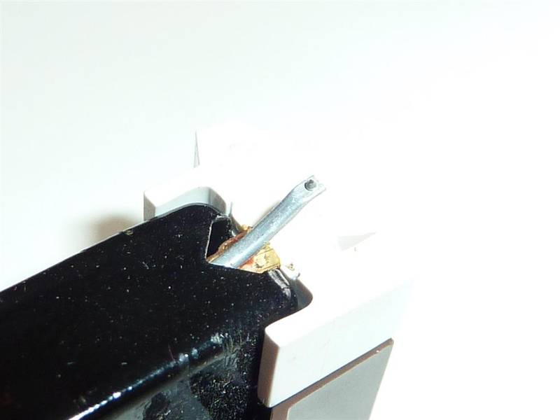 P1000992 (Large).JPG