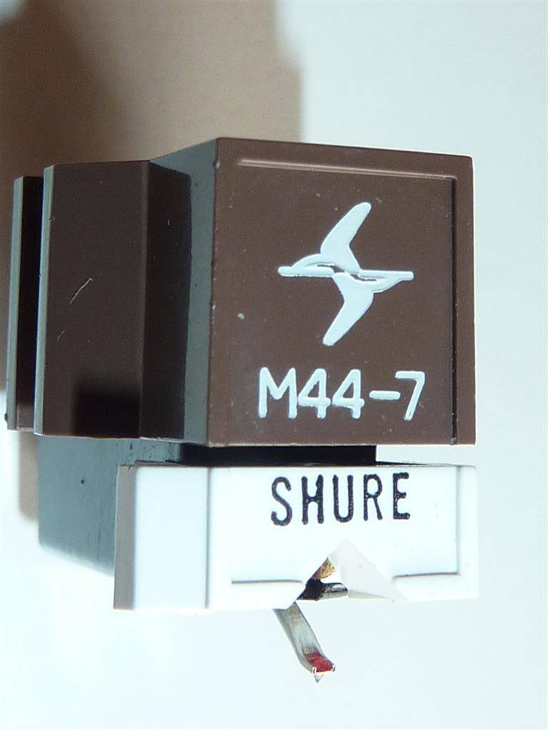 P1000996 (Large).JPG