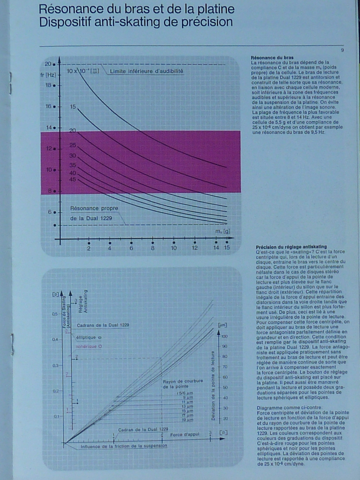 P1100041.JPG