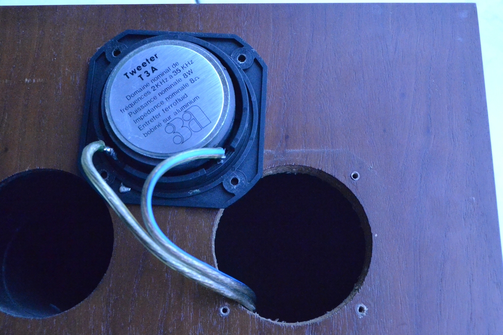 Tweeter.JPG