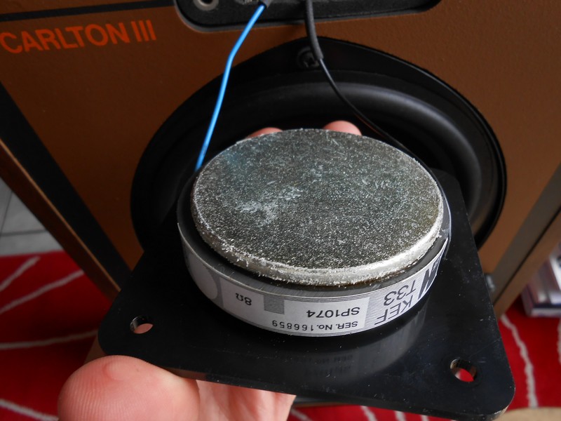 Tweeter arrière.jpg