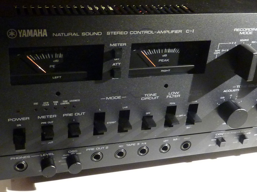 P1110254 (Copier).JPG
