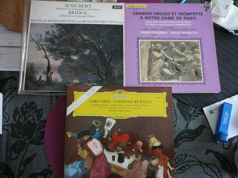 P1000845.JPG