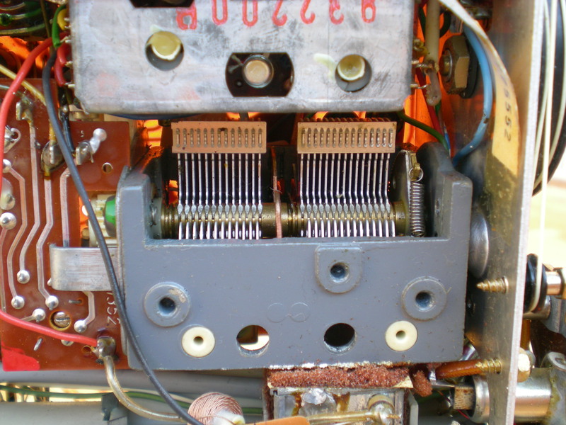 DSCN7450.JPG