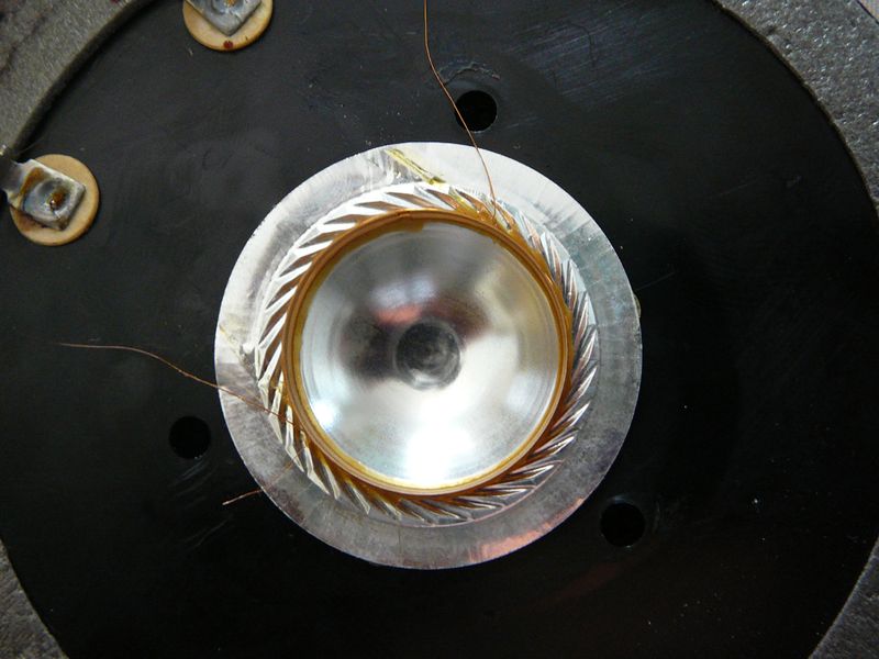 La membrane et la bobine coupée en son milieu, impossible à rattraper.