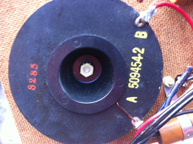 photo5.jpg