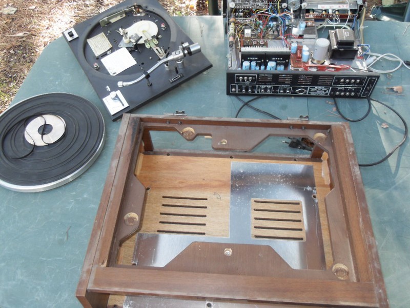 SDC17047.JPG