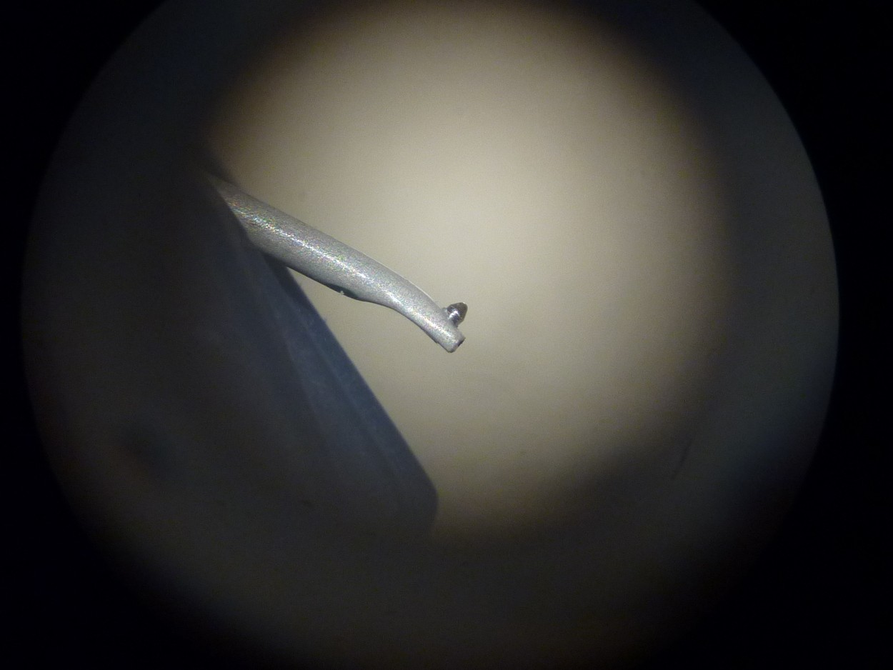 P1150970 (Copier).JPG