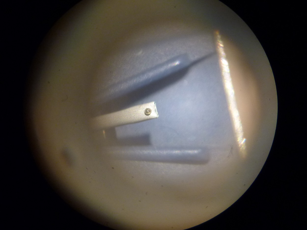 P1150968 (Copier).JPG