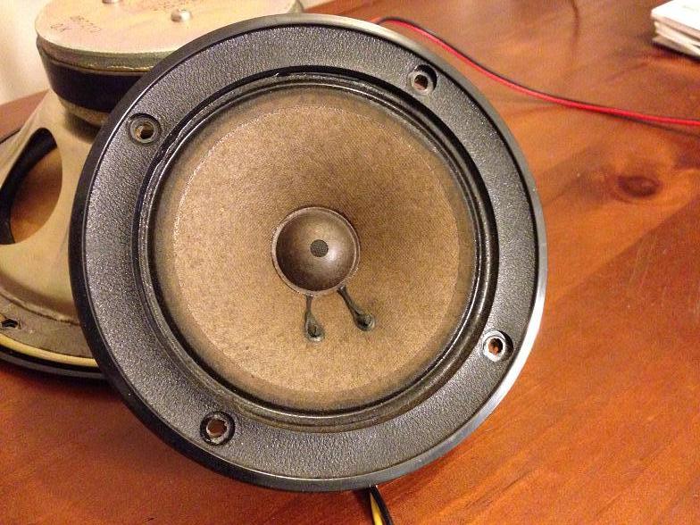 Squaker SP-150 - Front.JPG