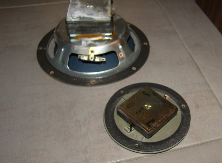 SH106225.JPG